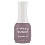 Пигментиран гел за нокти - Entity Colour Couture Soak Off Gel, нюанс 