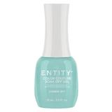 Пигментиран гел за нокти - Entity Colour Couture Soak Off Gel, нюанс "Camera Shy", 15 мл