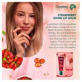 balsam-za-ustni-himalaya-strawberry-gloss-lip-balm-10-gr-2.jpg